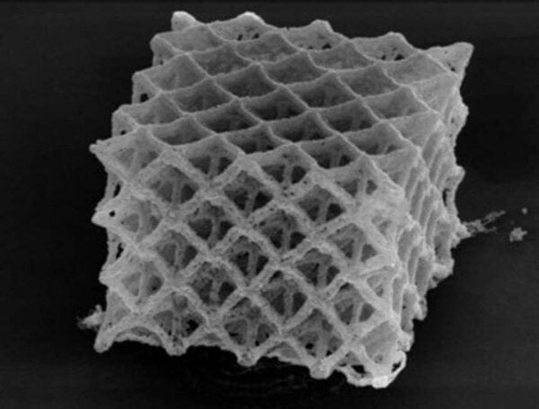 20180206 Greer Lattice x 12500 0