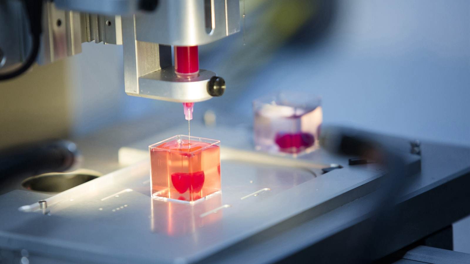 |3D Printed Homes Around the World|3D Printed Food|Bioprinting and 3D Printed Organs|3D Printed Clothing and Fashion|Metal 3D Printing|3D Printed Drugs and Pharmaceuticals|Rocket Engines and Aerospace Parts|Distributed Manufacturing||||||sla 3d printing display|||||