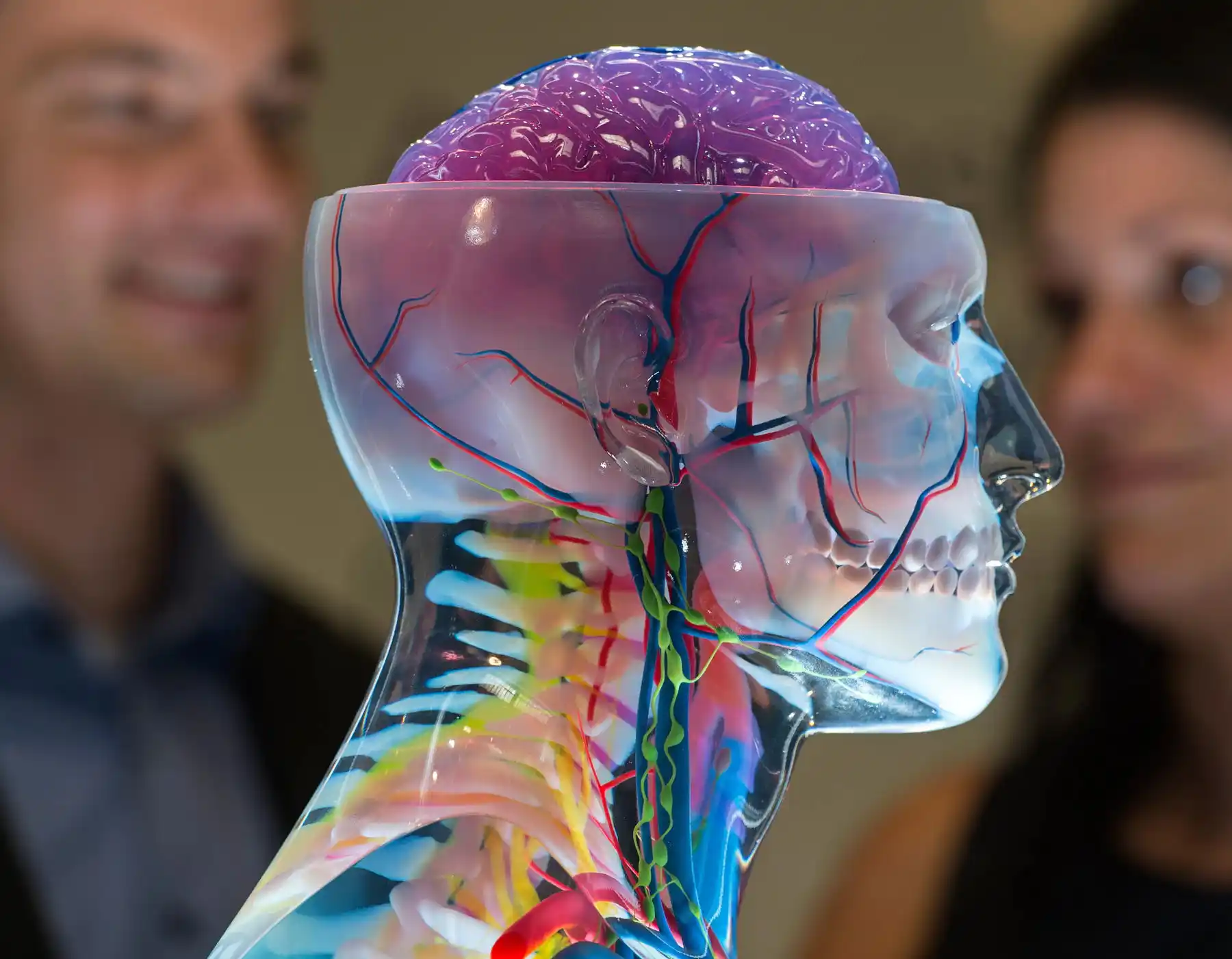 3d Printing Medical Application|Medical Application|medical services|sla medical application|medical Prototype|3d printing heart|Substantiated Medical Application