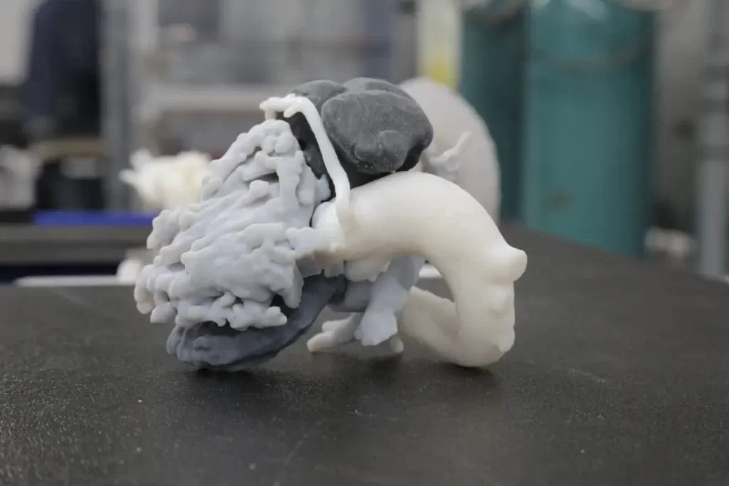 The Ultimate Guide to Digital Light Processing (DLP) 3D Printing dlp 3d printing organ