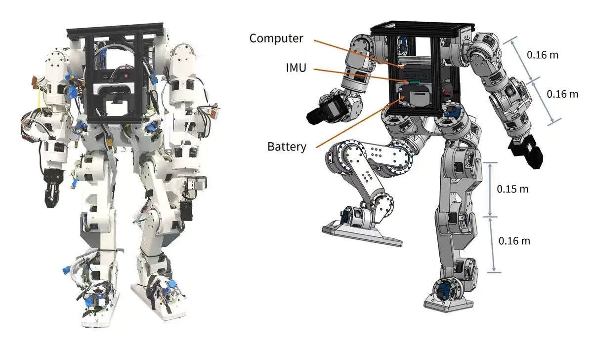 SLS 3D Printing Empowers Lightweight Humanoid Robots: A Manufacturing Breakthrough complex structural frame of sls 3d printed humanoid robot